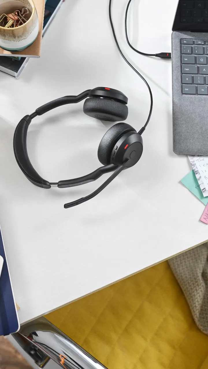 Jabra Evolve2 50 USB C/A MS Stereo — thumbnail 5